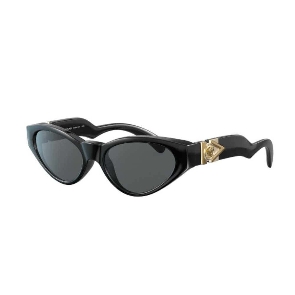 Versace Sunglasses

VERSACE / VE4373 / Standard